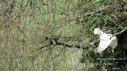 h23014