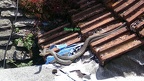 p25 0040